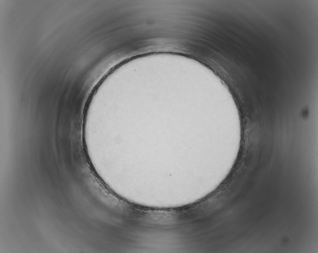 X0000116340836200912221439