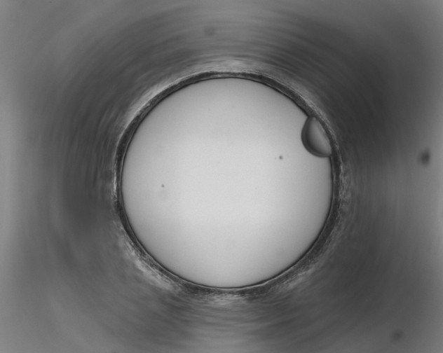 X0000116340837200912221439