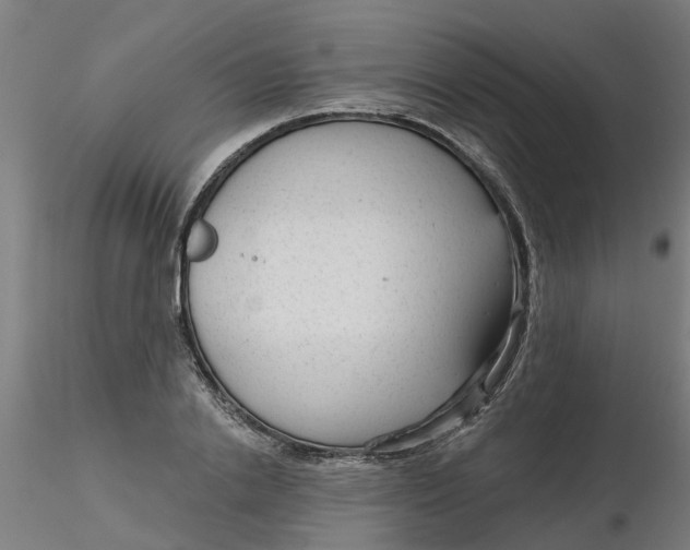 X0000116340838200912221439