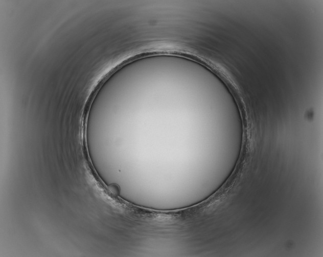 X0000116340839200912221439