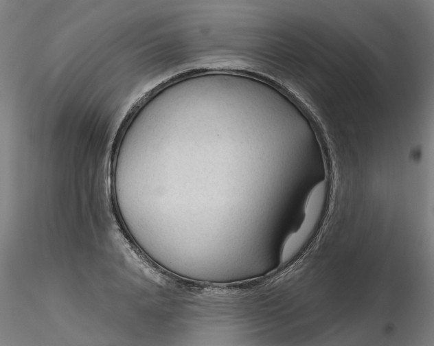 X0000116340840200912221439