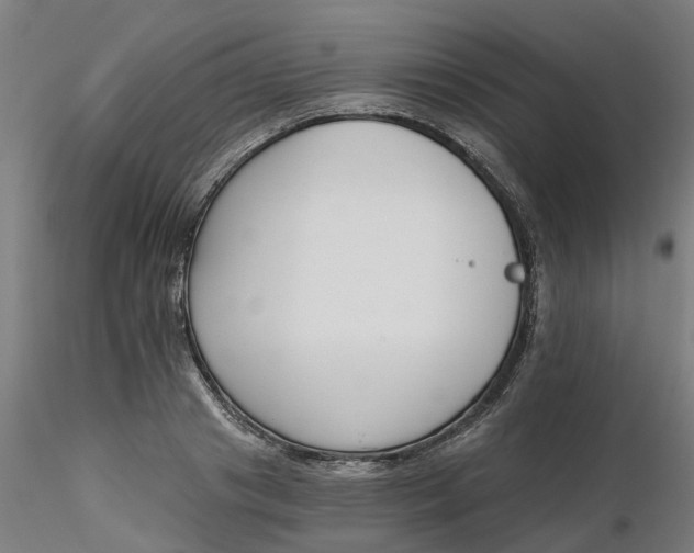 X0000116340841200912221439