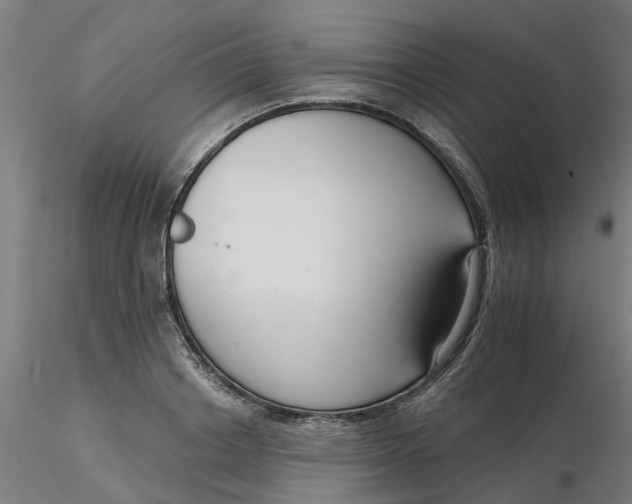 X0000116340842200912221439