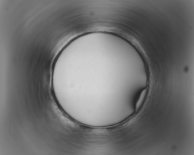 X0000116340844200912221439