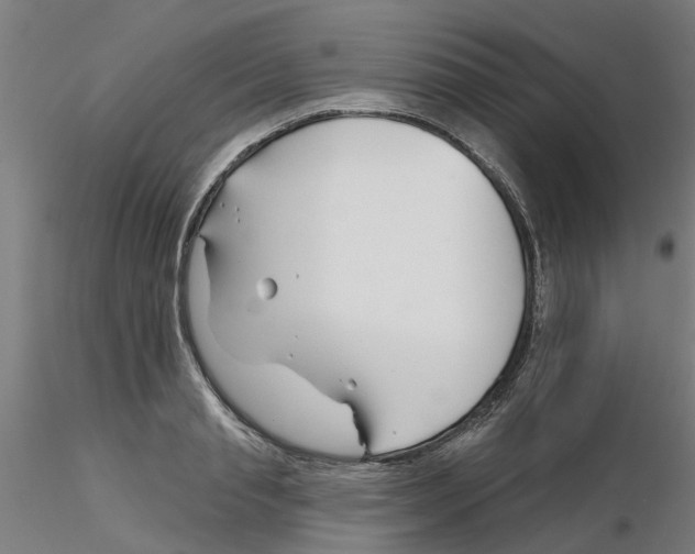 X0000116340845200912221439