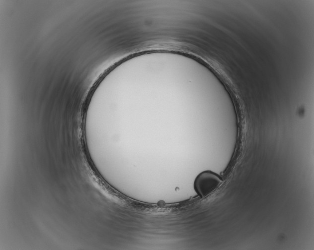 X0000116340846200912221439