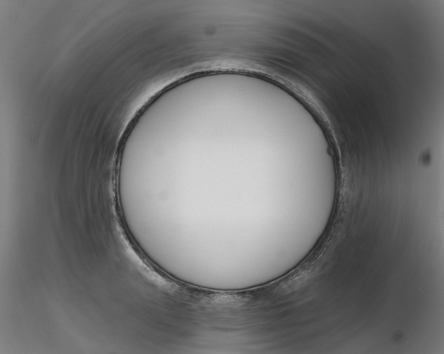 X0000116340847200912221439