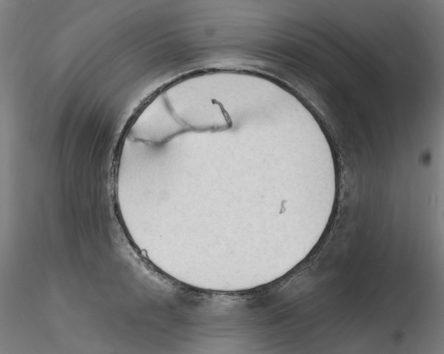 X0000116340848200912221439