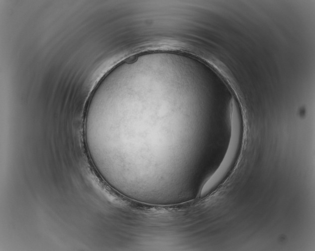 X0000116340850200912221439