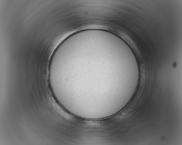 X0000116340852200912221439