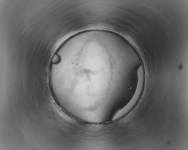 X0000116340854200912221439