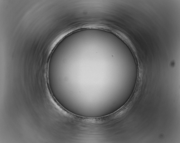 X0000116340855200912221439