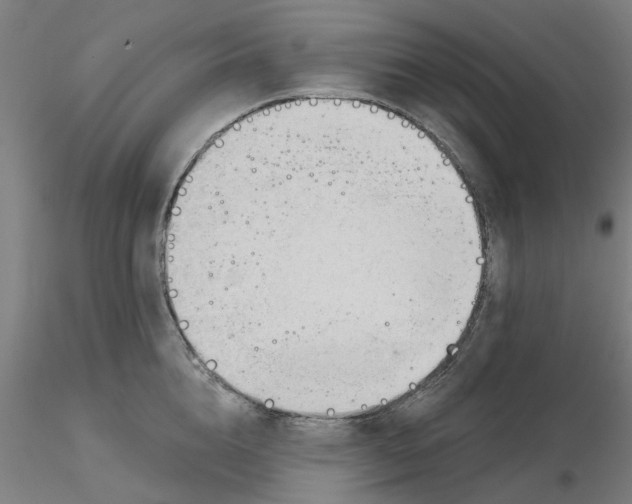 X0000116340856200912221439