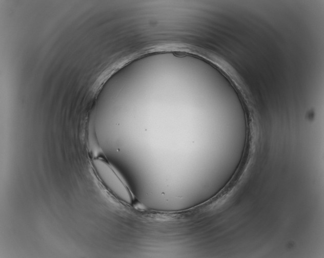 X0000116340857200912221439