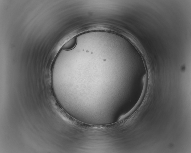 X0000116340858200912221439