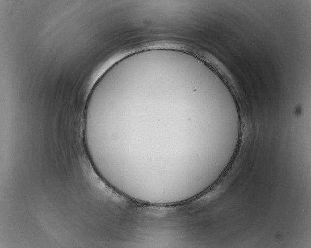 X0000116340860200912221439