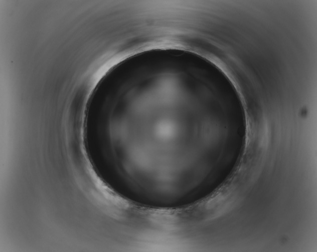 X0000116340861200912221439