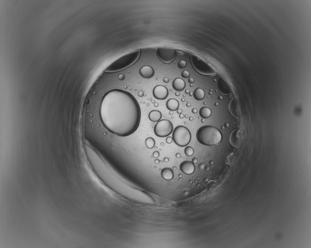 X0000116340863200912221439