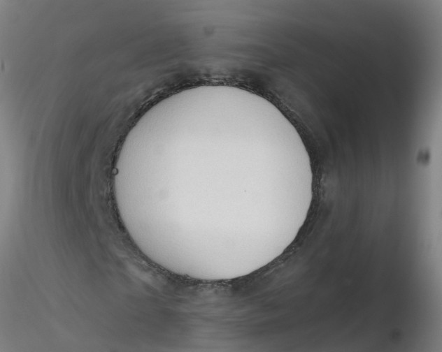 X0000116340865200912221439