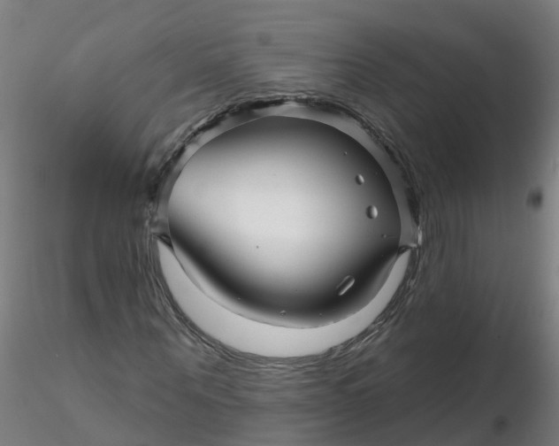 X0000116340867200912221439