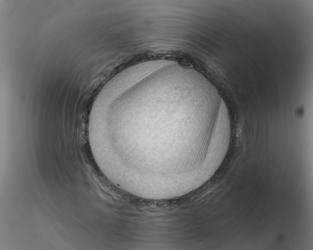 X0000116340868200912221439