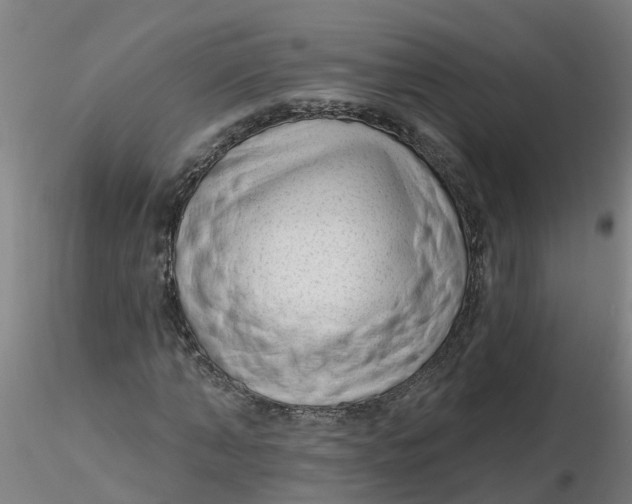 X0000116340870200912221439