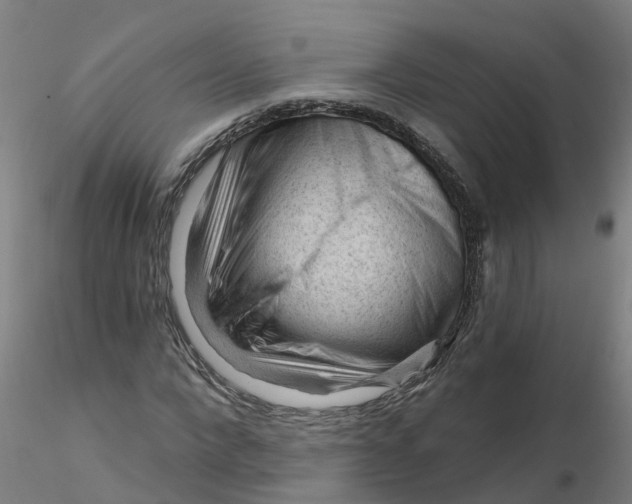 X0000116340872200912221439