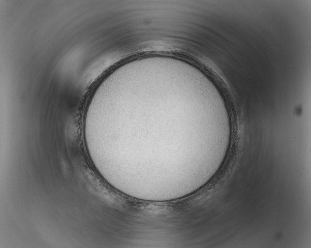 X0000116340874200912221439