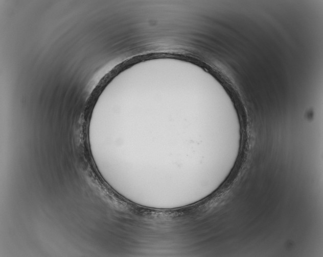 X0000116340875200912221439