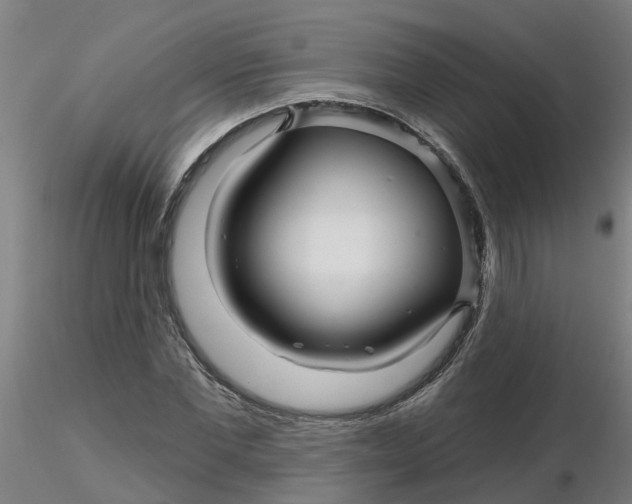 X0000116340877200912221439