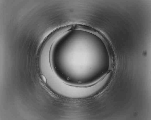 X0000116340878200912221439