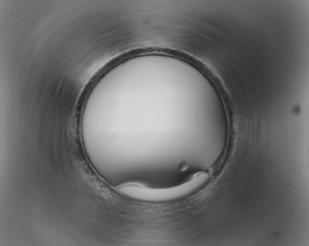 X0000116340879200912221439