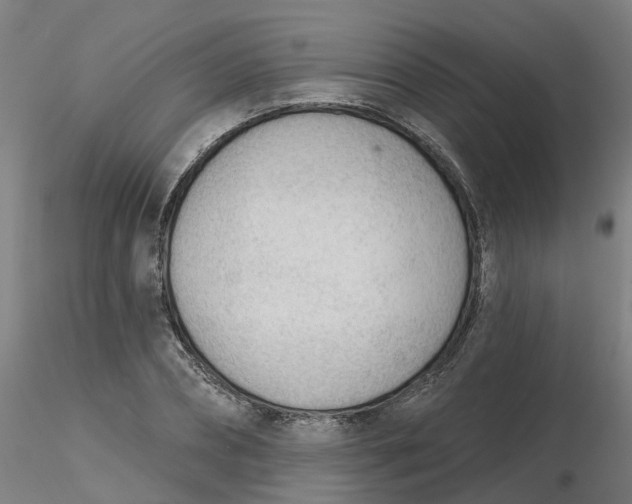 X0000116340882200912221439