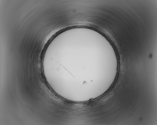 X0000116340883200912221439