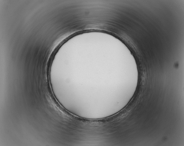 X0000116340884200912221439