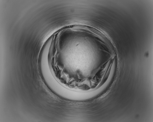 X0000116340885200912221439