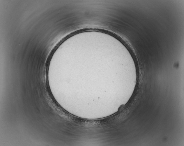 X0000116340887200912221438