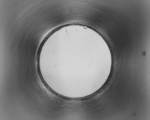 X0000116340888200912221438