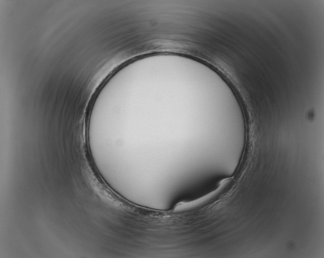 X0000116340891200912221438