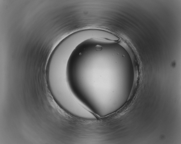 X0000116340892200912221438