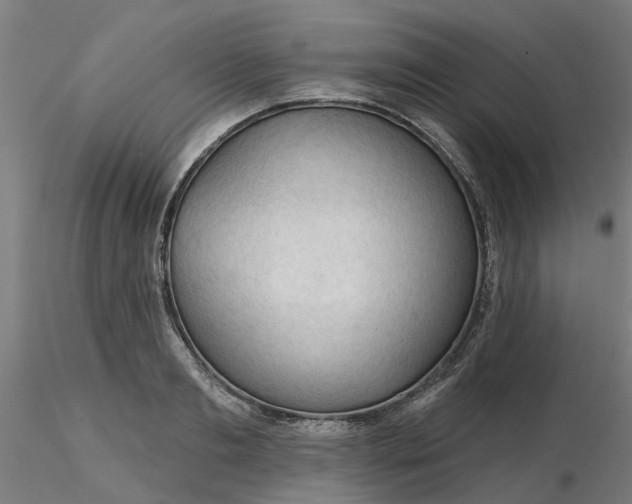 X0000116340893200912221438