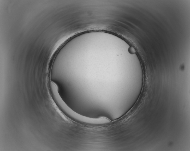 X0000116340894200912221438