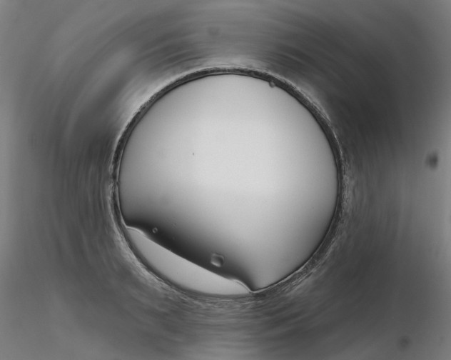 X0000116340895200912221438