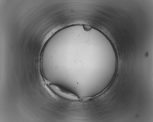 X0000116340898200912221438