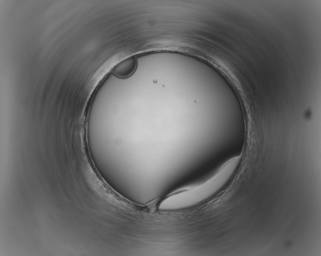 X0000116340899200912221438