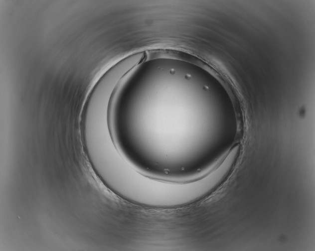 X0000116340900200912221438