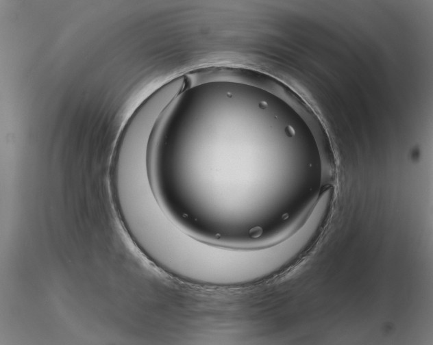 X0000116340901200912221438