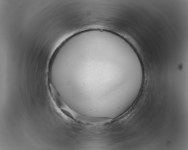 X0000116340902200912221438