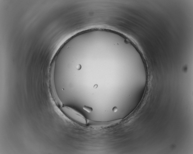 X0000116340903200912221438