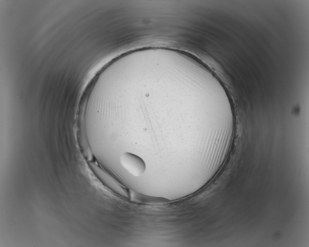 X0000116340904200912221438